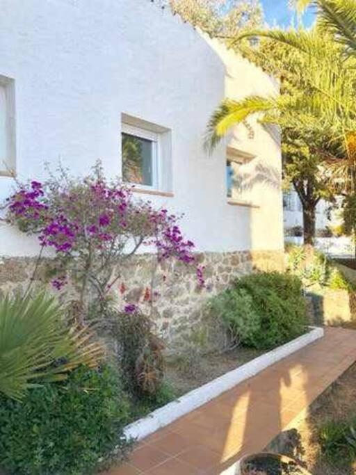 Amplio Apartamento Con Jardin En Almadrava Росес Екстериор снимка